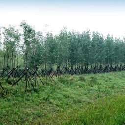 中邦園林兩項工程榮膺2018年度中國園林綠化優(yōu)秀施工項目及綠化養(yǎng)護榮譽