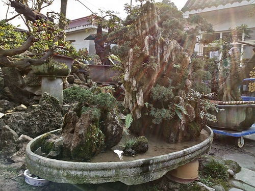 成都市光和園林藝術(shù)有限責(zé)任公司 專業(yè)園林綠化設(shè)計與施工服務(wù)