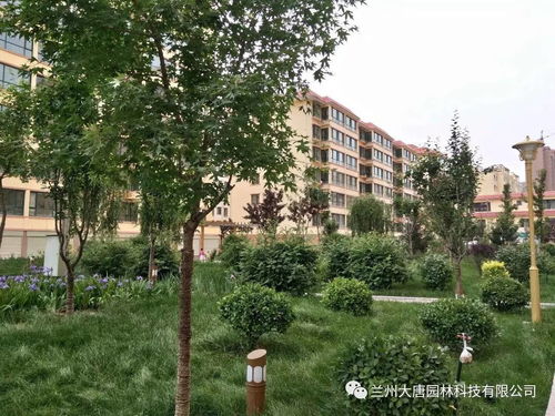 臨洮怡康苑住宅小區(qū)園林景觀綠化工程綠化養(yǎng)護方案