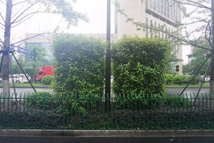 匠心筑綠，典范引航——杭州市2016年度優秀園林綠化工程特色項目觀摩活動側記