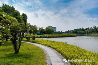 匠心筑景，綠韻迎賓——記2016年度杭州市優秀園林綠化工程道路組金獎項目 杭州蕭山國際機場迎賓專用道路及環境提升工程景觀綠化與養護